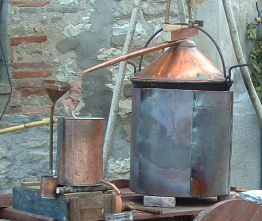 Alambicco
