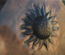 Girasole