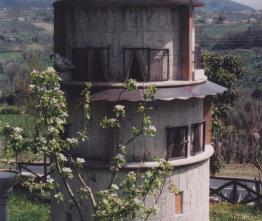 Picionaia